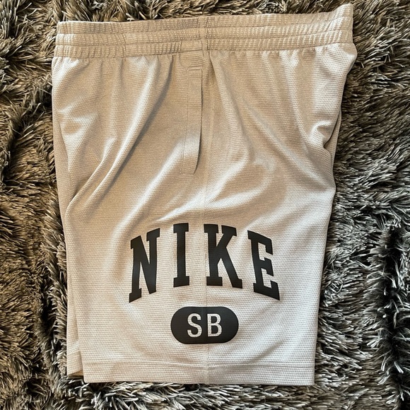NIKE SB Dri Fit Shorts - Picture 3 of 5